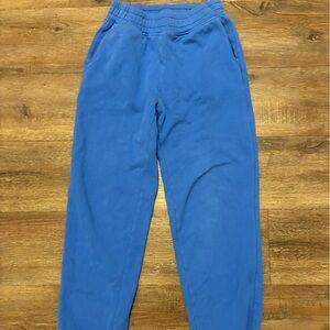 American Eagle Outfitters Blue Track Pants
